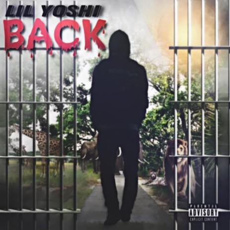 Back | Boomplay Music