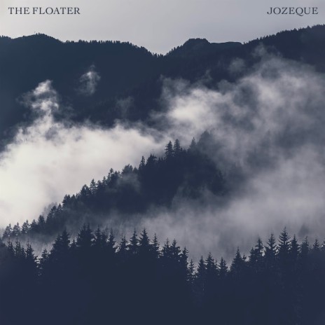 The Floater | Boomplay Music