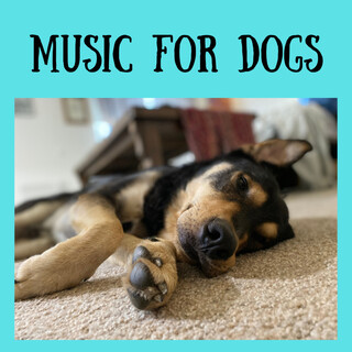 Music For Dogs