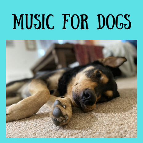 Under the Covers ft. Music For Dogs, Relaxing Puppy Music & Calm Pets Music Academy | Boomplay Music