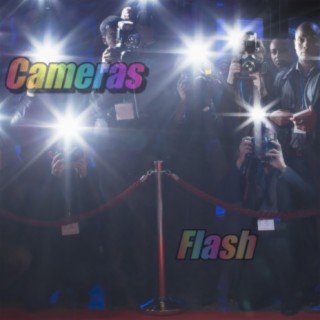 Cameras Flash