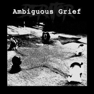 Ambiguous Grief