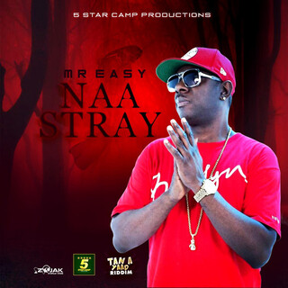 Naa Stray