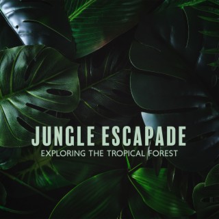 Jungle Escapade: Exploring the Tropical Forest
