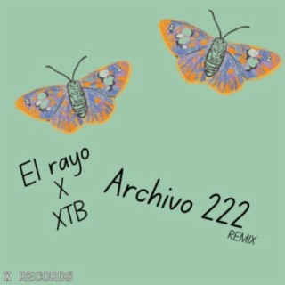 Archivo 222 (feat. El Rayo) [Remix]