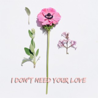 I Don't Need Your Love