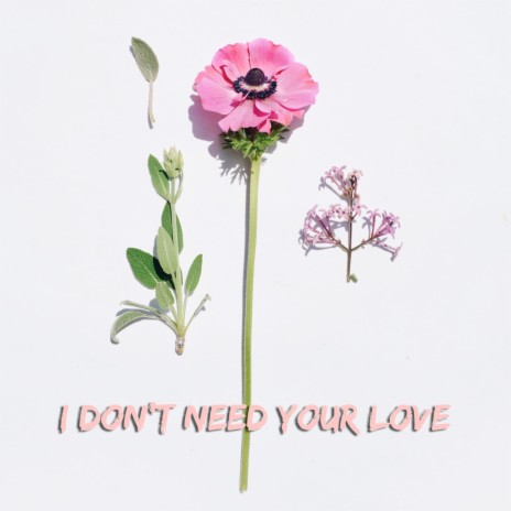 I Don't Need Your Love | Boomplay Music