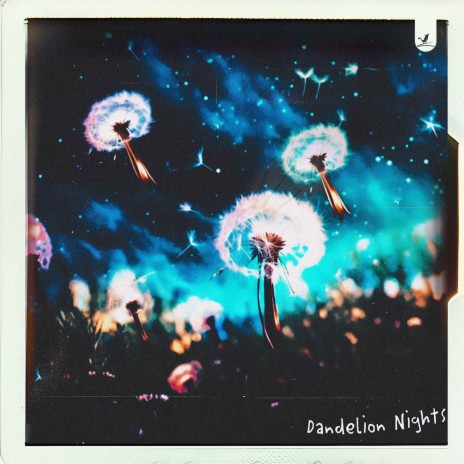 Dandelion Nights ft. Berezy | Boomplay Music