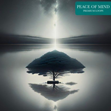 Peace of Mind (Special Edition) | Boomplay Music