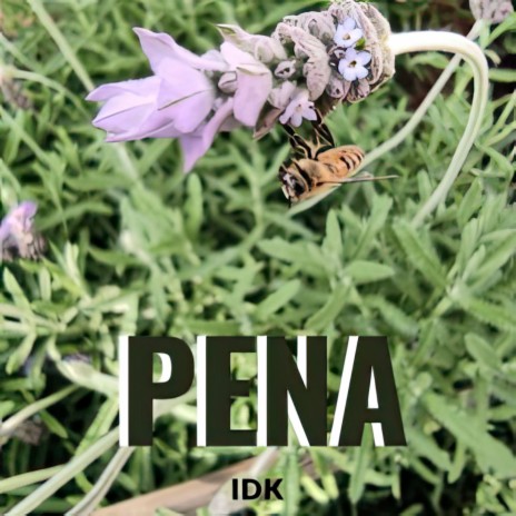 Pena | Boomplay Music