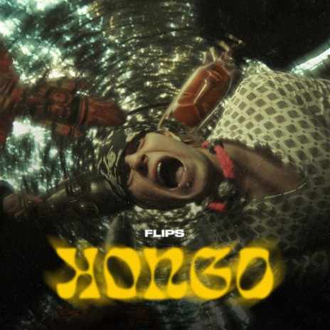 Kongo ft. DJ Flip | Boomplay Music