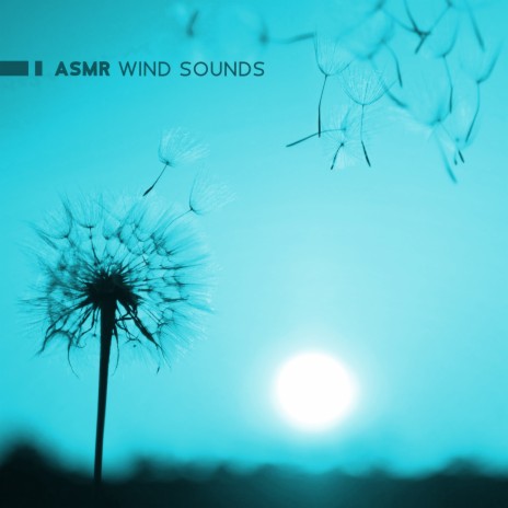 ASMR Wind Sounds for Sleep | Boomplay Music