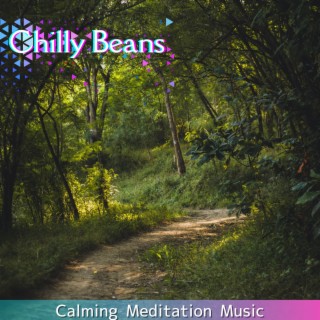 Calming Meditation Music