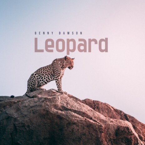 leopard