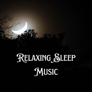 Relaxing Sleep Music