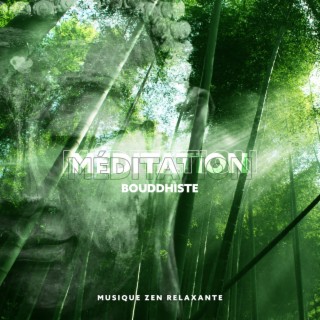 Méditation bouddhiste: Musique zen relaxante - Ambiance paisible pour le spa, le yoga et la relaxation