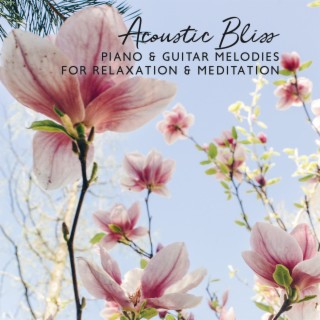 Acoustic Bliss: Piano & Guitar Melodies for Relaxation & Meditation, Stress Relief, Study, Sleep,Soft Music