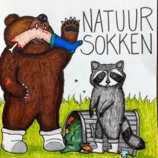 Natuur Sokken