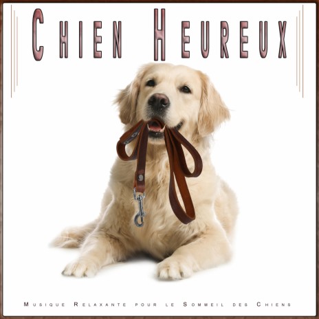 Musique Relaxante Pour Chiens ft. Musique pour L'anxiété des Chiens & Musique Relaxante pour Chiens | Boomplay Music