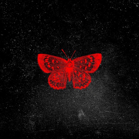 Butterflies | Boomplay Music