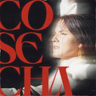 Cosecha lyrics | Boomplay Music