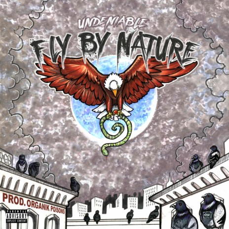 Fly by Nature | Boomplay Music