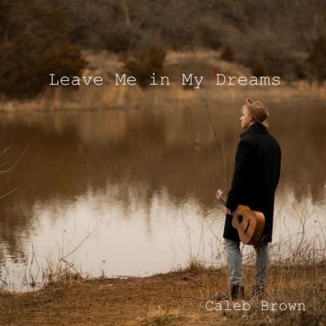 Leave Me in My Dreams | Boomplay Music