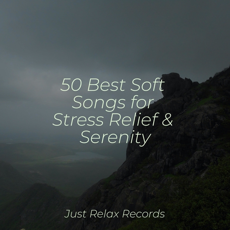 Peaceful Steeped Serenity ft. Naturaleza Sonidos & Pro Sound Effects Library | Boomplay Music