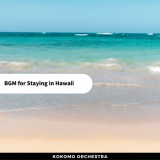 BGM for Staying in Hawaii