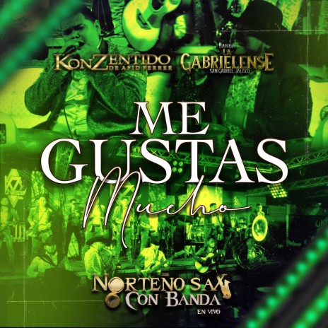 Me Gustas Mucho (Live) ft. Banda La Gabrielense | Boomplay Music