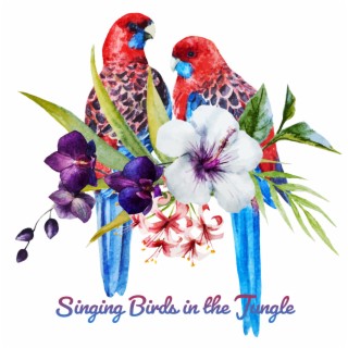 Singing Birds in the Jungle: Tropical Nature Sounds & Exotic Mood Music