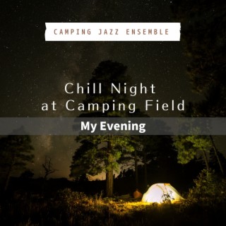 Chill Night at Camping Field - My Evening