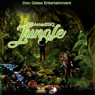 Jungle