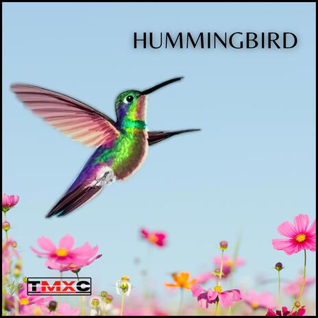 Hummingbird | Boomplay Music