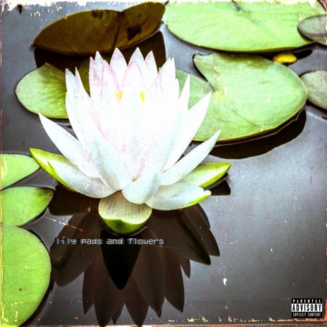 lily pads and flowers ft. ShieGhai | Boomplay Music