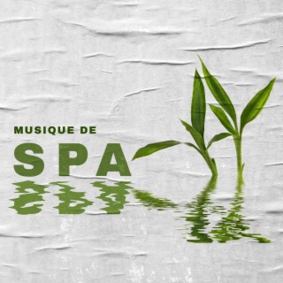 Musique de spa – Relaxation, Soulagement du stress, Méditation, Yoga
