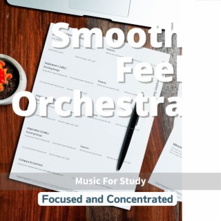 Focused and Concentrated - Music For Study