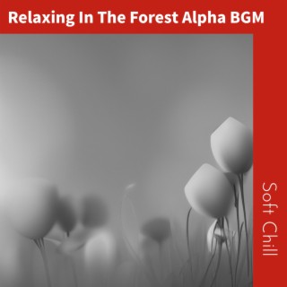 Relaxing In The Forest Alpha BGM