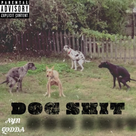 Dog Shit | Boomplay Music