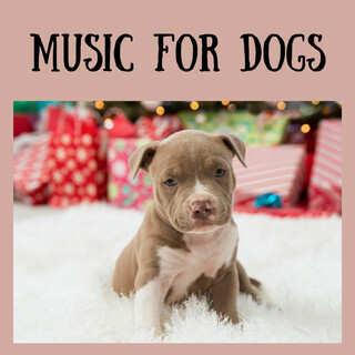 Music For Dogs