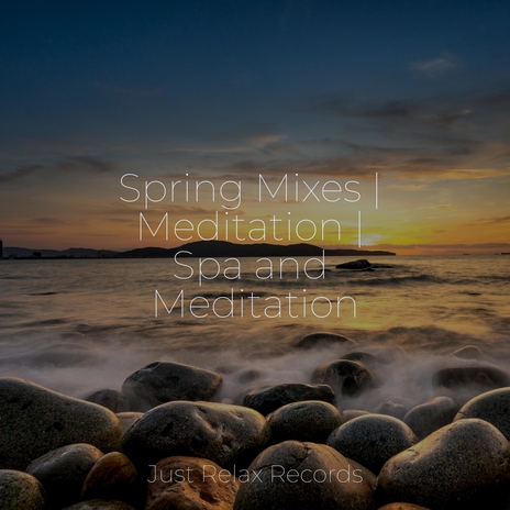 Sparkling Sea Waltz ft. Zen Music Garden & Música Para Meditar y Relajarse | Boomplay Music