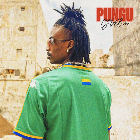 PUNGU | Boomplay Music