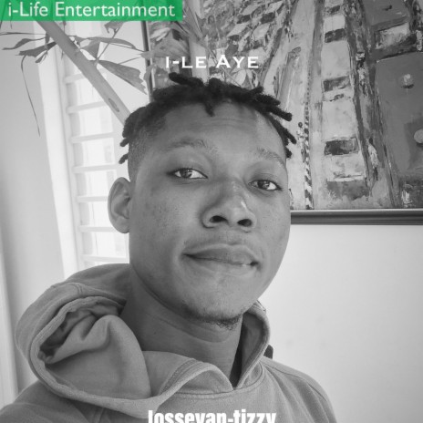 Ile Aye (This Life) | Boomplay Music