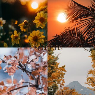 Seasons