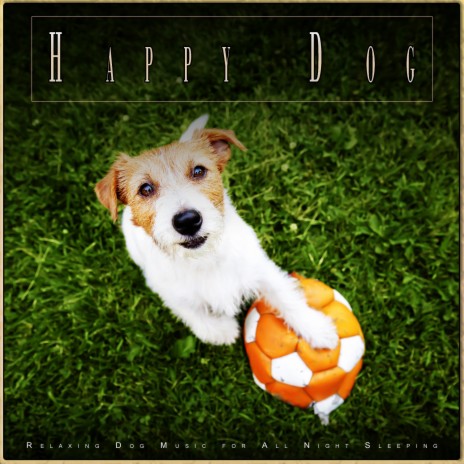 Dog Music ft. Dog Music Dreams & Dog Music