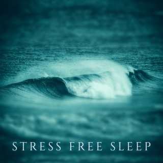 Stress Free Sleep: Soothing Water Lullaby Sounds, Self Healing Night Meditation