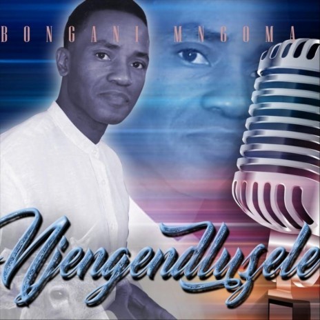 Njengendluzele | Boomplay Music