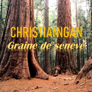 Graine de sénevé