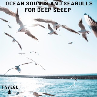 Ocean Sounds and Seagulls For Deep Sleep Beach Waves Sounds 1 Hour Relaxing Nature Ambient Yoga Meditation Sounds For Sleeping Relaxation or Studying