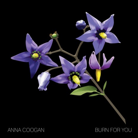 Burn for You | Boomplay Music